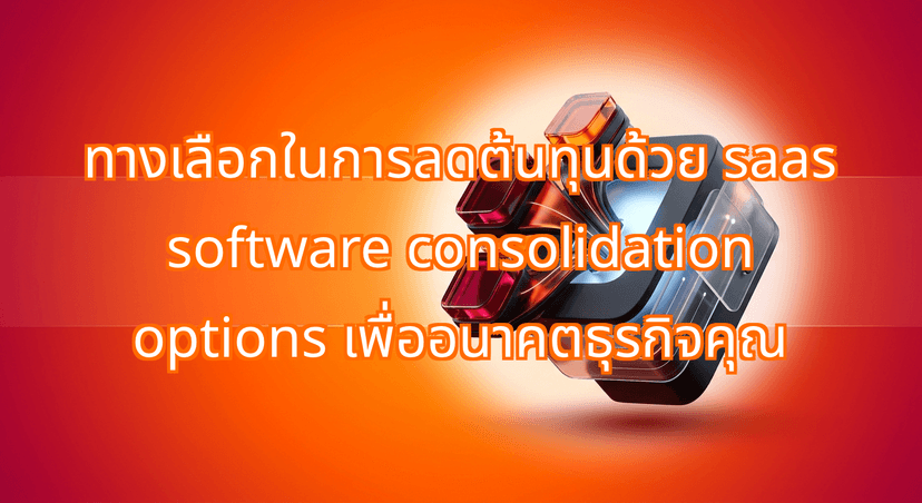 Why Companies Are Replacing 5 SaaS Subscriptions With 1 Custom AI Tool: The Ultimate SaaS Software Consolidation Options Guide