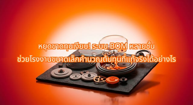 How Multi-Level BOM Costing Helps Thai Factories Save