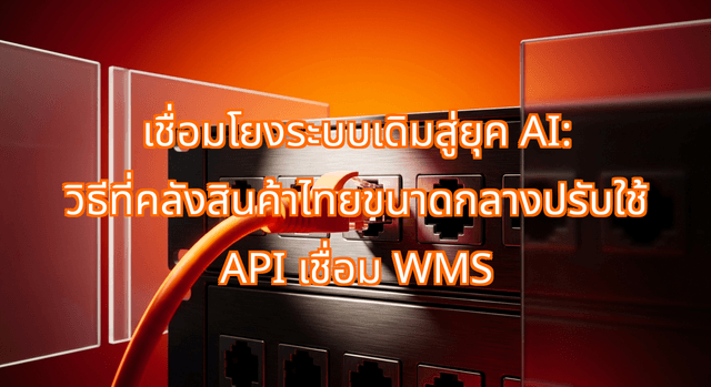 เชื่อมโยงระบบเดิมสู่ยุค AI: วิธีที่คลังสินค้าไทยขนาดกลางปรับใช้ API เชื่อม WMS